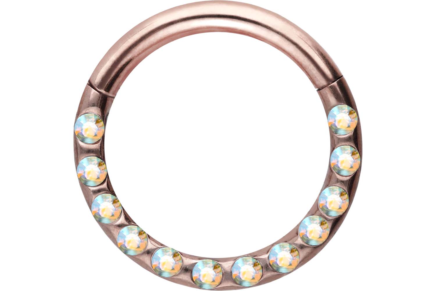 Chirurgenstahl Segmentring Clicker Piercing KRISTALLE + EPOXY ++SALE++